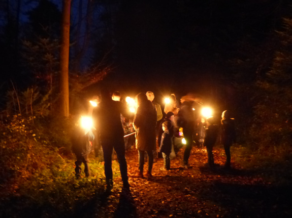 Adventsfreude im Wald